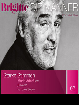 cover image of Schmidt